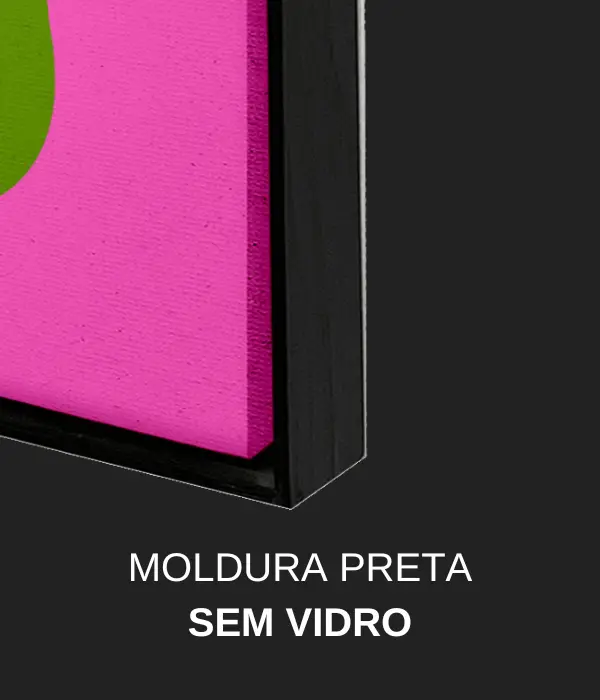 Quadros Decorativos Moldura Preta