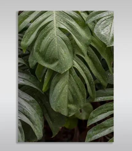 Imagem de produto de quadro decorativo.